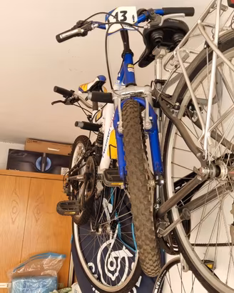 Bici Daytona Regina Replica