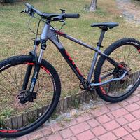 Bici mtb Olmo Carmo 29