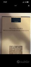 Piccola storia della letteratura italiana