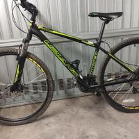 MTB ruote 29