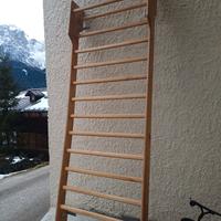 Spalliera Svedese, Professionale in faggio, 250x90