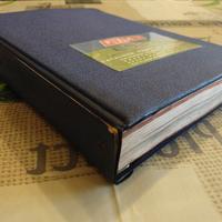 Catalogo parti di ricambio FIAT 662 N3 N3P OM IVEC