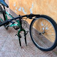 Mountain bike da bambino