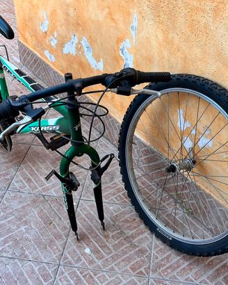 Mountain bike da bambino