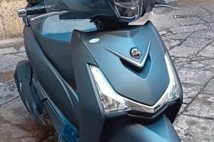 Sym HD 300