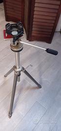 Treppiede Gitzo con testa Linhof