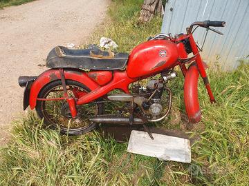 Motom 51