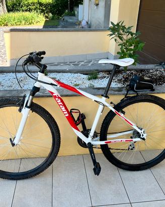 Mountain bike Faram Meteor 29
