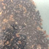 evodia la pianta delle api