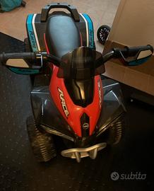 Quad elettrico