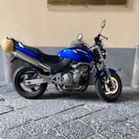 Hornet 600 del 1999. Permuto con CB 900 F