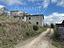 Immagine 7
