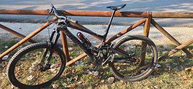 Specialized Kenevo Sl