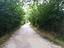 Immagine 10
