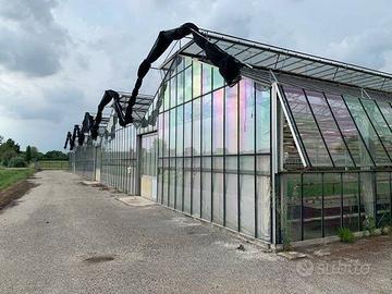 Immobile in asta di 13480 m² con più di 5 locali a