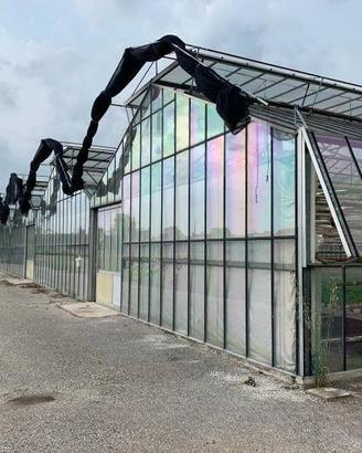 Immobile in asta di 13480 m² con più di 5 locali a