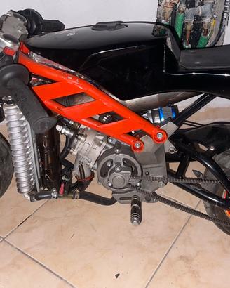 Minimoto blata
