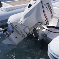 Vedesi motore evinrude e-tec 115 cv