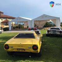 TENSOSTRUTTURE 8 X 12 X 3/4,4  MT PER EVENTI LUX