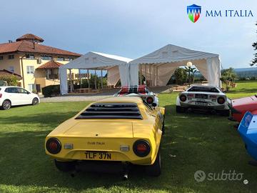 TENSOSTRUTTURE 8 X 12 X 3/4,4  MT PER EVENTI LUX