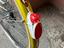 Immagine 6