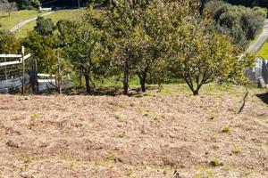 Terreno ad uso agricolo