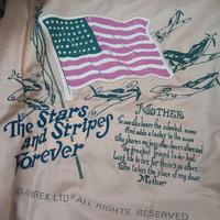 Giubbotto Avirex in vera pelle 