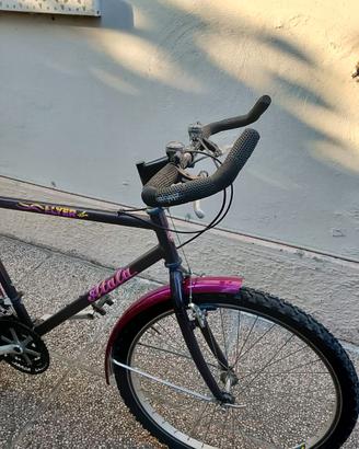 bicicletta MTB