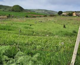 Terreno con casolare rustico a Corleone