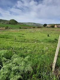 Terreno con casolare rustico a Corleone