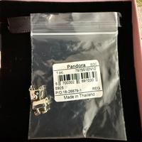 Pandora Charm cane robot