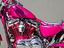 Immagine 13
