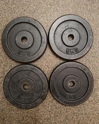pesi palestra in ghisa 5 kg