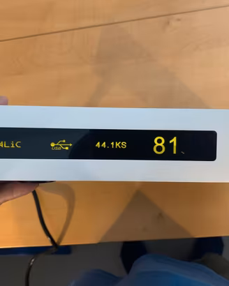 DAC Auralic Vega (Prima Edizione) - Hi-End-DSD