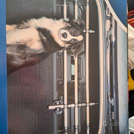Divisoria cani generica per tutte le vetture 