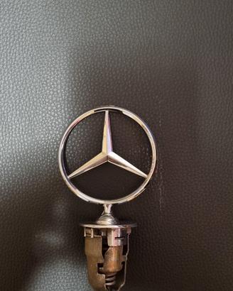 STEMMA MERCEDES PER COFANO