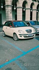 Ypsilon bicolore