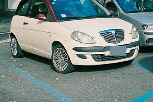 Ypsilon bicolore