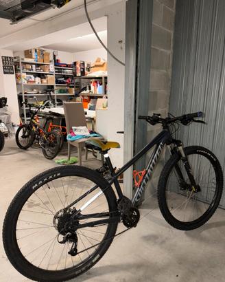 Wheelie Mtb Bike