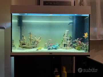 Acquario 125l con mobiletto e decirazioni