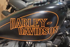 Harley-davidson 883 Sportster Custom CASTOM