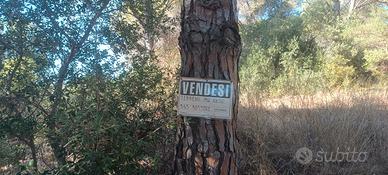 Terreno a Follonica