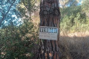 Terreno a Follonica