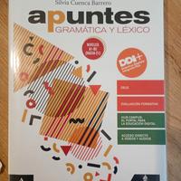 Spagnolo grammatica liceo linguistico 