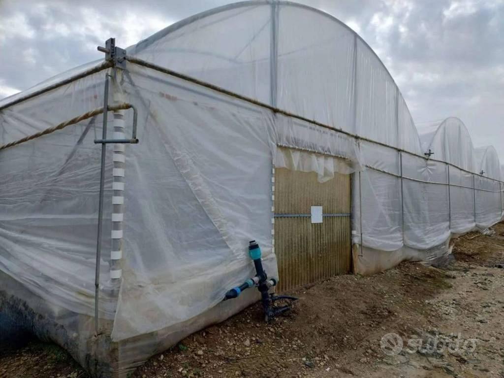 Immobile in asta di 48970 m² a Noto - Altro