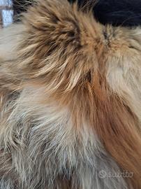 colli di pelliccia