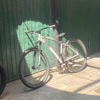 Wheelie bike
