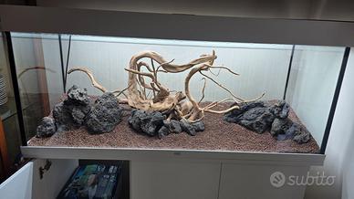 Acquario juwel rio 240 lt (led)