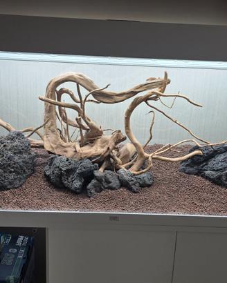 Acquario juwel rio 240 lt (led)