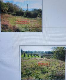 Amorosi (BN) Terreno con abitazione